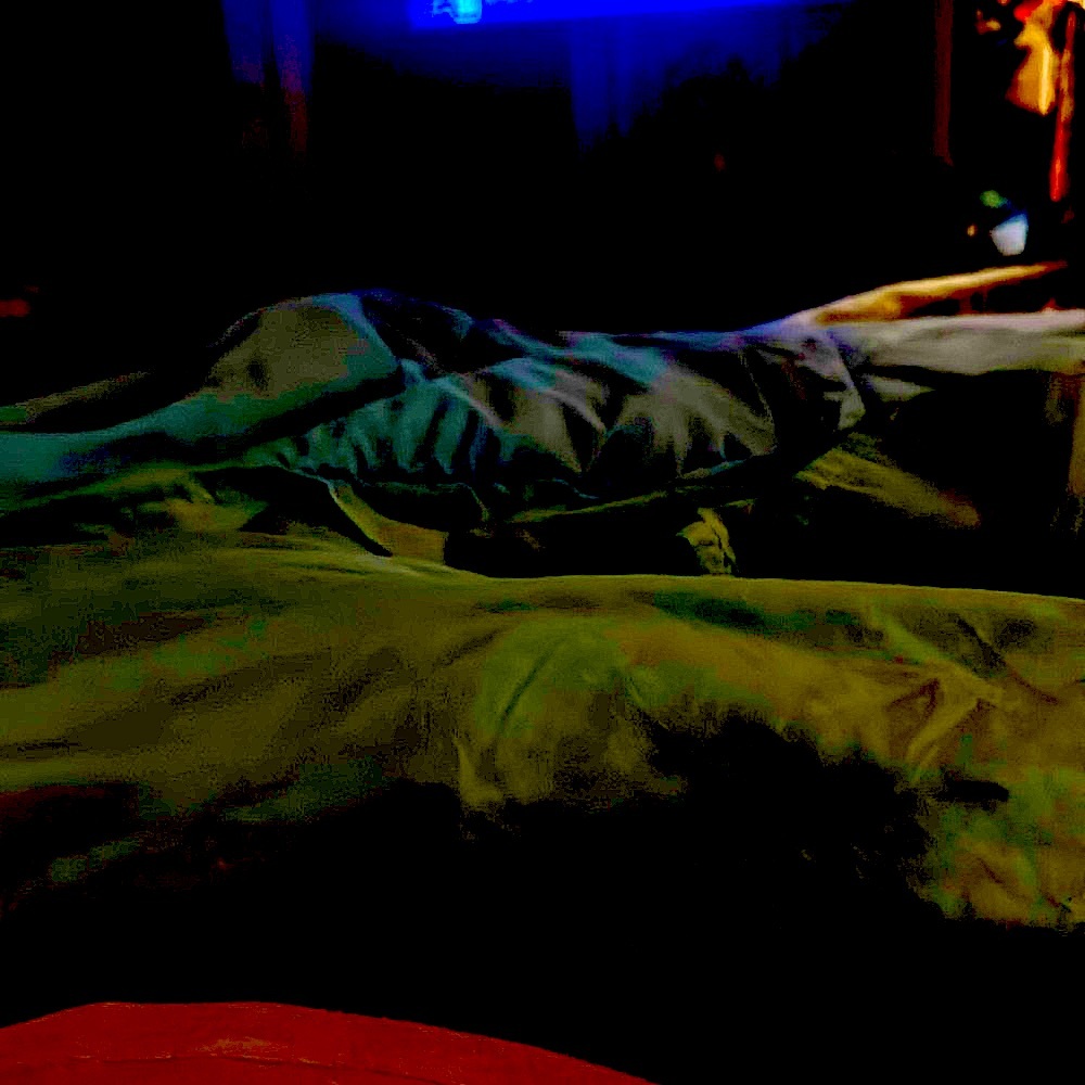 Elegant Teal Velvet Dress